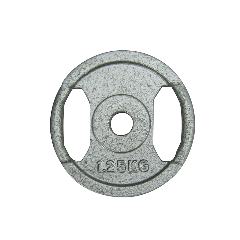 Cast Iron Weight Plate with Handle Cut