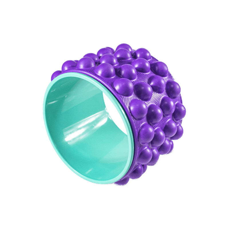 WS1191R Mini Yoga Wheel